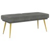 Banc à double couche Gris foncé 120 x 45 x 46 cm Velours 629113629113