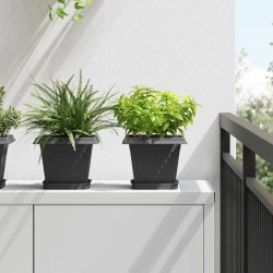 Plateau carré à fleurs 6 pcs Noir 15 x 15 x 2 cm Plastique 629208629208