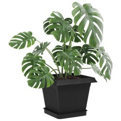 Plateau carré à fleurs 6 pcs Noir 15 x 15 x 2 cm Plastique 629208629208