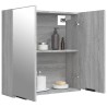 Armoire à miroir de salle de bain Sonoma gris 64x20x67 cm 629315629315