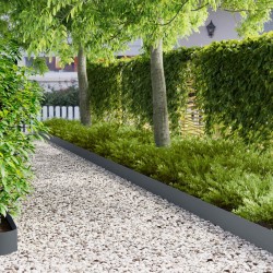 Bordure de Pelouse 20 pcs 100 x 12 cm Acier Anthracite 629327629327