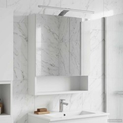 Armoire Miroir de Salle de Bain Blanc 50 x 14,5 x 70 cm 629338629338