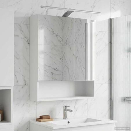 Armoire Miroir de Salle de Bain Blanc 50 x 14,5 x 70 cm 629338629338