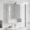 Armoire Miroir de Salle de Bain Blanc 50 x 14,5 x 70 cm 629338629338