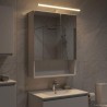 Armoire Miroir de Salle de Bain Blanc 50 x 14,5 x 70 cm 629338629338