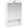 Armoire Miroir de Salle de Bain Blanc 50 x 14,5 x 70 cm 629338629338