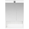 Armoire Miroir de Salle de Bain Blanc 50 x 14,5 x 70 cm 629338629338