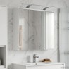 Armoire Miroir de Salle de Bain Blanc 63,5 x 16 x 62,5 cm 629349629349