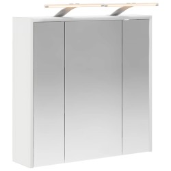 Armoire Miroir de Salle de Bain Blanc 63,5 x 16 x 62,5 cm 629349629349