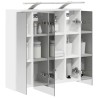 Armoire Miroir de Salle de Bain Blanc 63,5 x 16 x 62,5 cm 629349629349