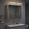 Armoire Miroir de Salle de Bain Blanc 63,5 x 16 x 62,5 cm 629349629349