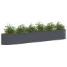 Jardin surélevé Anthracite 300 x 40 x 40 cm Acier 629375629375