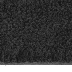 Tapis de porte noir 65x100 cm fibre de coco touffeté 629419629419