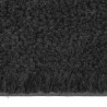 Tapis de porte noir 65x100 cm fibre de coco touffeté 629419629419