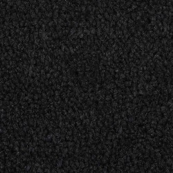 Tapis de porte noir 65x100 cm fibre de coco touffeté 629419629419