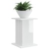 Support de Plante 2 pcs Blanc brillant 30,5 x 30 x 43 cm 629557629557