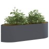 Jardin surélevé Anthracite 140 x 40 x 40 cm Acier 629603629603