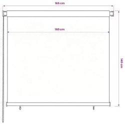 Store roulant d'extérieur 165 (l) x 140 (H) cm noir 629644629644