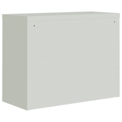 Classeur gris clair et bleu 90x40x70 cm acier 629798629798