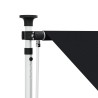 Auvent rétractable manuel Noir 250 cm 629948629948