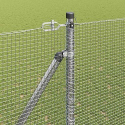 Clôture en fil soudé avec pointes 50 x 1,5 m Acier galvanisé 629973629973