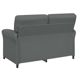 Canapé 100% polyester, cadre en métal, MDF, Contreplaqué 629978629978