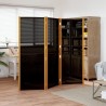 Cloison de séparation 3 panneaux Noir 210x180 cm 630005630005