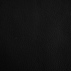 Lit pour chien noir 70x45x30 cm similicuir 630204630204