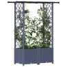 Lit Élevé avec Treillis et Toit Gris 124,5 x 40 x 136 cm PP 630205630205