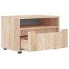 Meuble TV VISNES chêne sonoma 60x40x38 cm bois d'ingénierie 630212630212