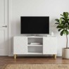 Meuble TV 102 x 34,5 x 50 cm Blanc brillant Bois d'ingénierie 630253630253