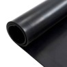 Tapis de sol Noir 1,2 x 2 m Caoutchouc 630270630270