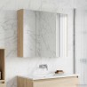 Armoire Miroir de Salle de Bain Chêne Sonoma 630312630312
