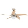 Ventilateur de plafond avec lumière et télécommande Ø 110 cm 630459630459