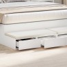 Tiroirs de lit Blanc 135 x 36,5 x 16,5 cm Bois d'ingénierie 630700630700