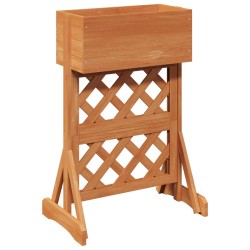 Trellis de jardin vertical Orange 48 x 30 x 70,5 cm 630702630702