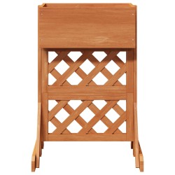 Trellis de jardin vertical Orange 48 x 30 x 70,5 cm 630702630702