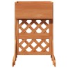 Trellis de jardin vertical Orange 48 x 30 x 70,5 cm 630702630702