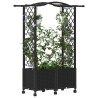 Lit Élevé avec Treillis et Toit Noir 125 x 40 x 144 cm PP 631041631041