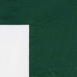 Mur de tente de fête 2 pcs 200 x 195 cm Vert PE et acier 631083631083
