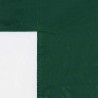 Mur de tente de fête 2 pcs 200 x 195 cm Vert PE et acier 631083631083