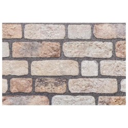 Panneaux muraux 10 pcs Marron Clair 100 x 50 cm Mousse EPS 631087631087
