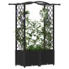 Lit Élevé avec Treillis et Toit Noir 125 x 40 x 138 cm PP 631101631101
