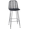 Chaise de bar 2 pcs 44 x 52 x 111 cm Rotin et métal 631181631181