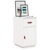 Armoire de bureau Blanc 40x50x75 cm Bois massif de pin 631427631427