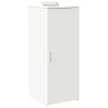Armoire de rangement Blanc 40x45x103,5 cm Bois d'ingénierie 631458631458