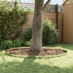 Bordure de Pelouse 30 pcs 100 x 15 cm Acier Argenté 631503631503