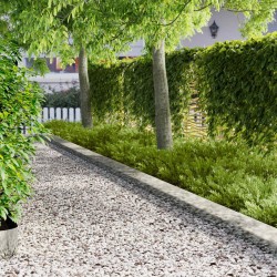 Bordure de Pelouse 30 pcs 102 x 15 x 4 cm Acier Argenté 631505631505