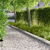 Bordure de Pelouse 30 pcs 102 x 15 x 4 cm Acier Argenté 631505631505
