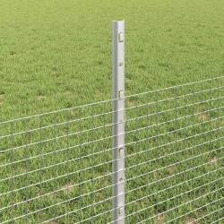 Clôture en fil soudé avec poteaux 50 x 0,5 m Acier galvanisé 631689631689